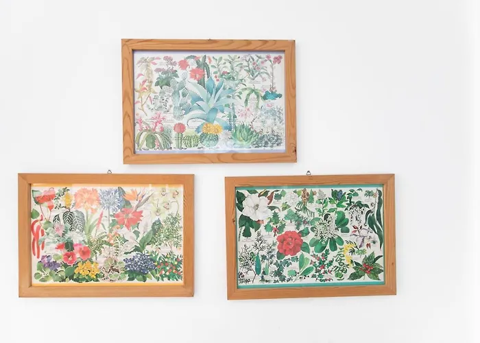 Marconi - Short * بولونيا